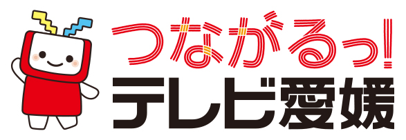 株式会社テレビ愛媛